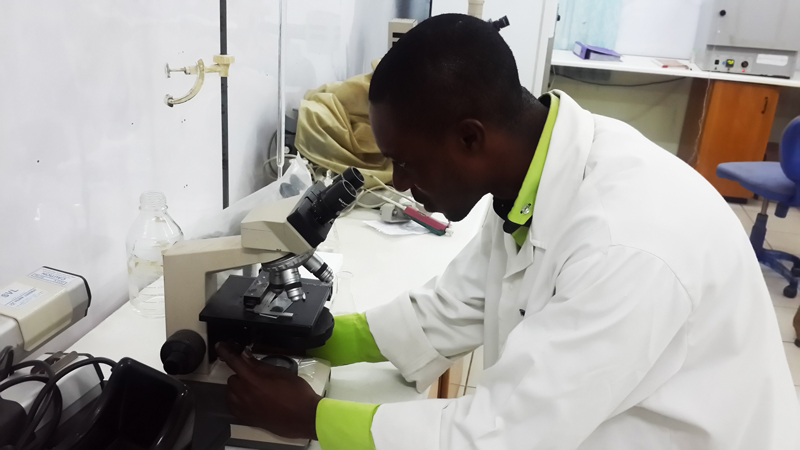 Microbiological Analysis offered by the CSIR-Food Research Institute, Ghana
